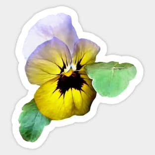 Pansies - Pansy Saluting Sticker